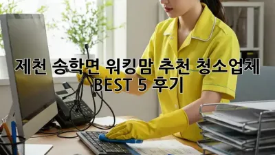 제천 송학면 워킹맘 추천 청소업체 BEST 5 후기