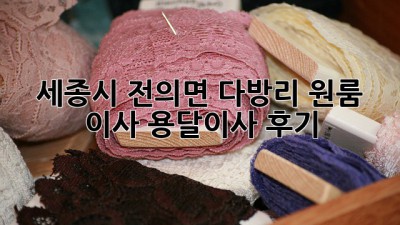 세종시 전의면 다방리 원룸 이사, 용달이사 후기!